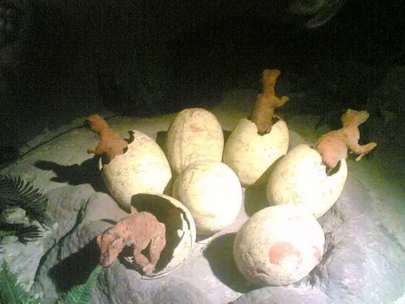 Q4SR8L6FU9F`DVZ$~7G5BP0