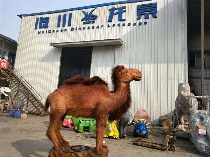 QQ20180625133215(001)