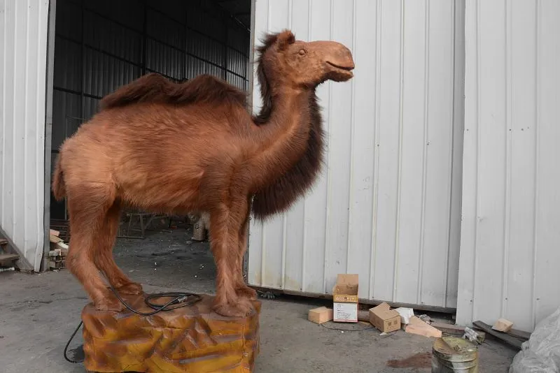 Simulation Camel